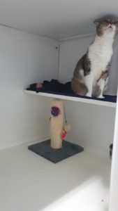 zampette_pulite_vimodrone_milano_alimenti_cani_e_gatto (2)